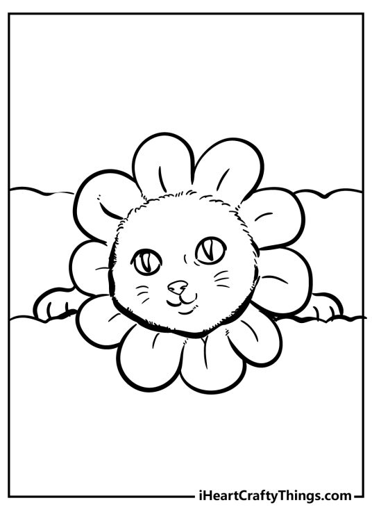 Free cat coloring sheet presenting close-up of a kitten dressed as a flower with petals around its head