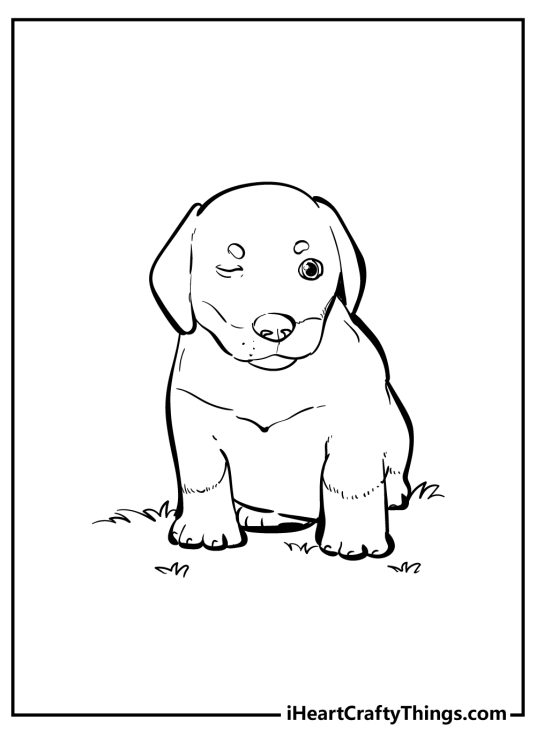 Printable page featuring adorable puppy giving a nice wink while sitting on a grass