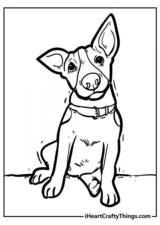 Free coloring page of a dog with pointy ears and one ear perked up to listen intently