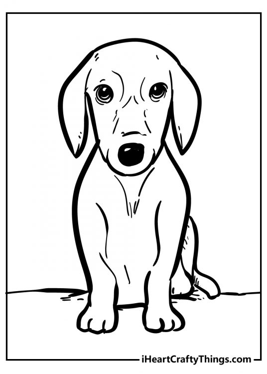 Coloring page for children featuring a dog sitting calmly and looking straight ahead as he would want a treat