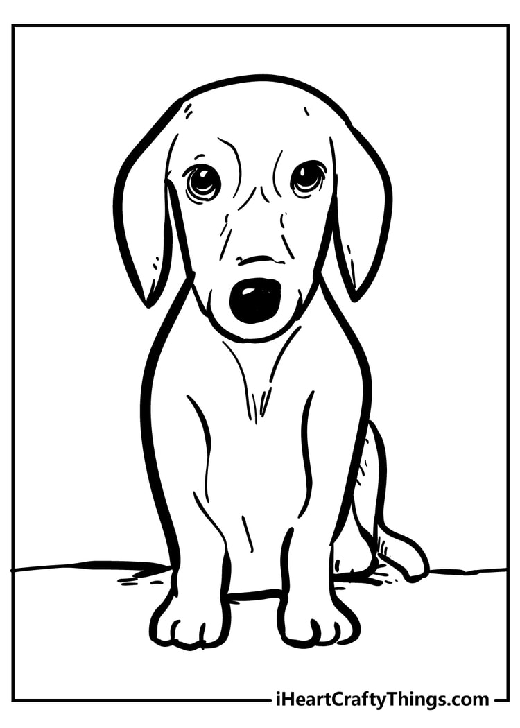 Easy Dog Drawing for Kids Coloring Page