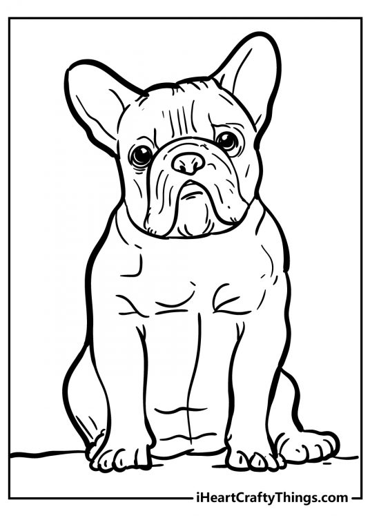 Dog-themed printable presenting a French Bulldog with wrinkles rolls and large bat-like ears