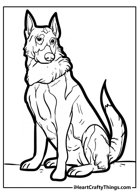 Dog printable coloring image featuring German Shepherd with some interesting markings on his face