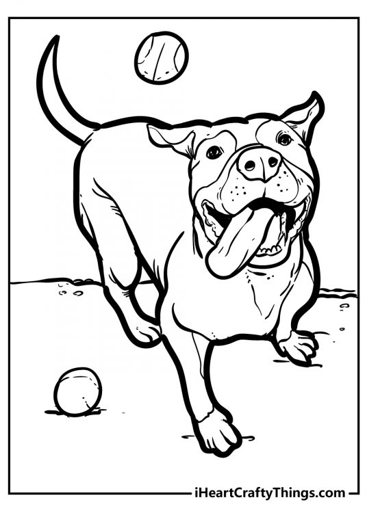 Coloring dog-themed image for children featuring playful Pit Bull gleefully chasing down a ball