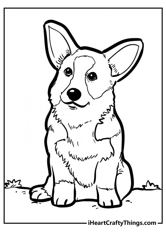 Printable poster featuring Corgi breed dog with very short legs stumpy tail and huge ears