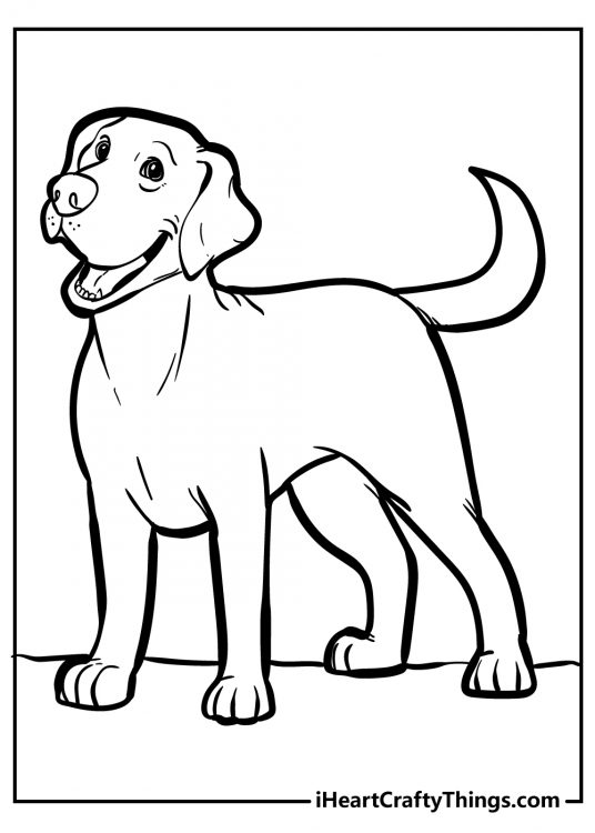 Coloring picture for pre-schoolers featuring tall dog with a happy smiling face