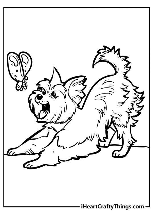 Detailed coloring picture for children of a furry pup playing with a butterfly floating overhead