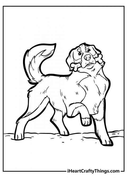 Detailed image of a big furry dog looking ready to run off with a bone in his mouth