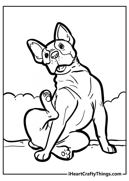 Dog-themed coloring page depicting pup scratching his shoulder with his hind leg