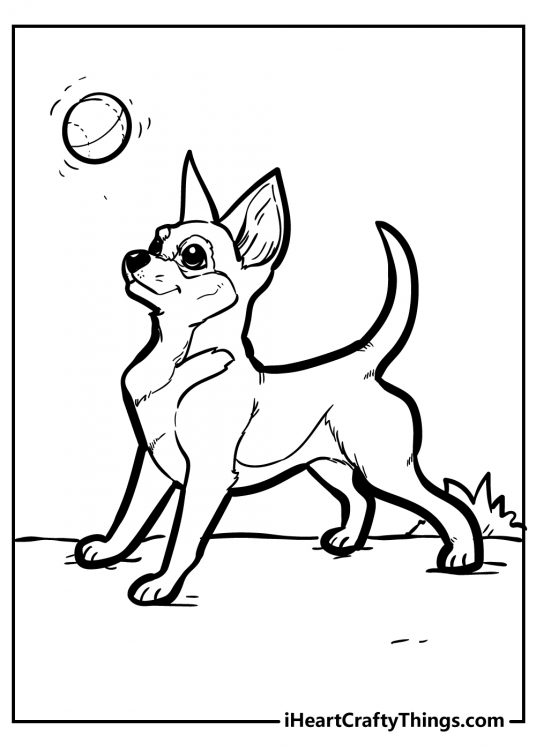 Page to print and color featuring a dog focusing intently on catching a ball that flies toward him