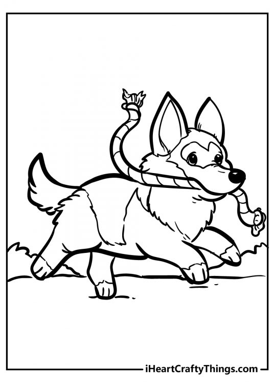 Printable coloring page for children presenting a dog running away with a rope toy