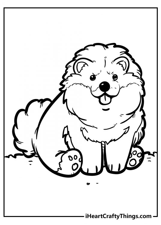 Black-and-white picture to print and color featuring a fluffy Chow Chow breed dog