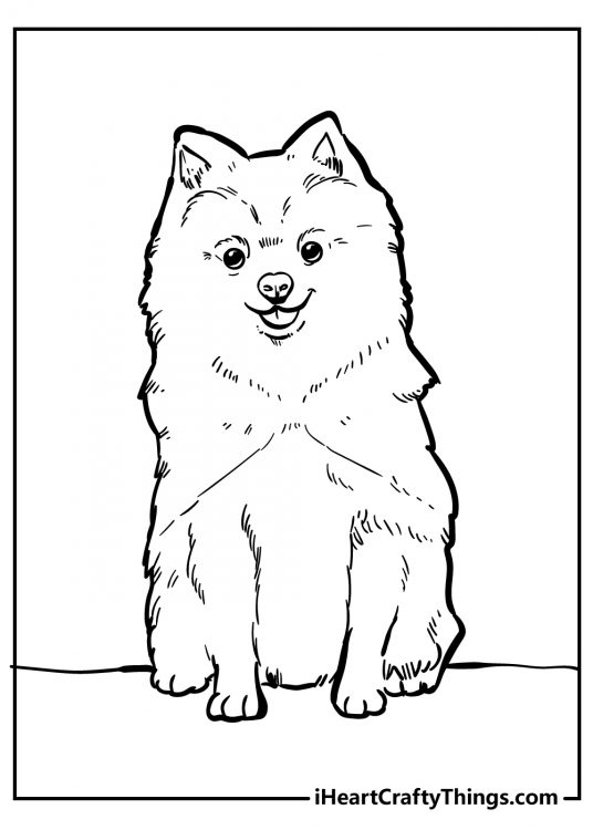 Free printable pdf depicting a fluffy Samoyed breed dog sitting with a smile on its face