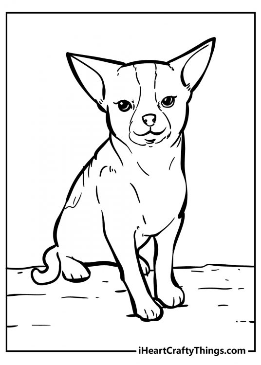Free coloring sheet featuring a dog with large pointy ears that are perked up and listening
