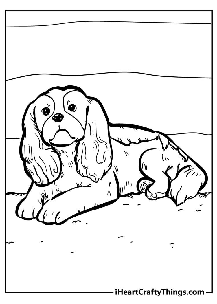 dog coloring page for kids
