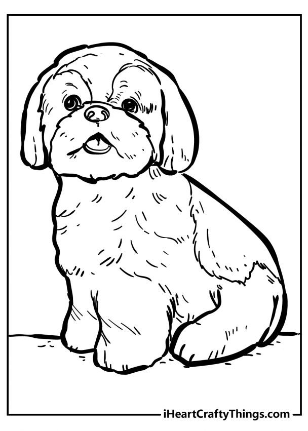 55 Dog Coloring Pages For Kids: Free PDF To Download & Print