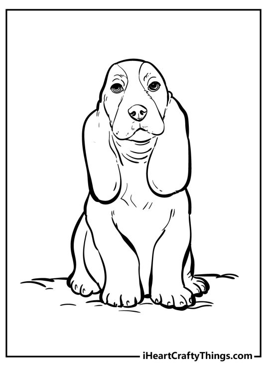 Free printable coloring page for kids of a dog with big floppy ears and calm look on its face
