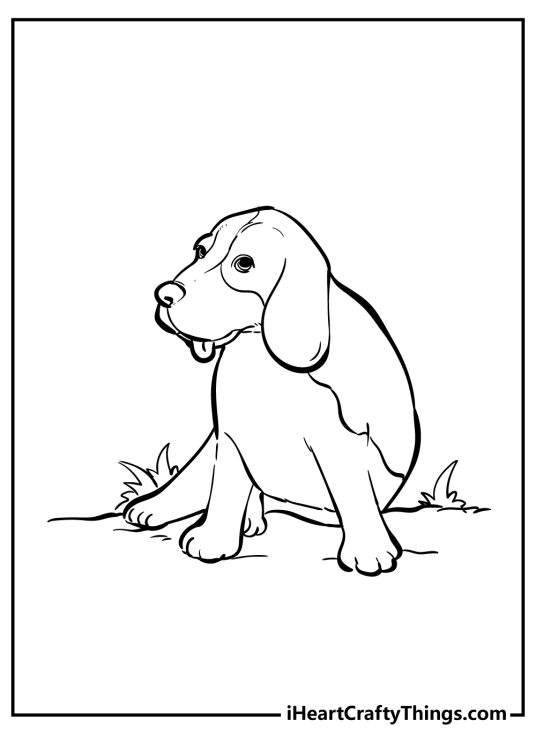 Image for kids of an adorable pup with floppy ears and tongue hanging out of his mouth