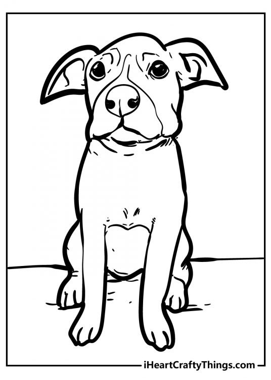Coloring page for kids depicting a dog sitting with quite concerned face expression