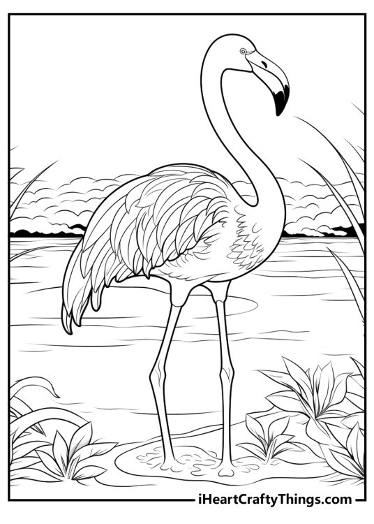 Detailed coloring picture featuring beautiful flamingo standing in the water surrounded with plants