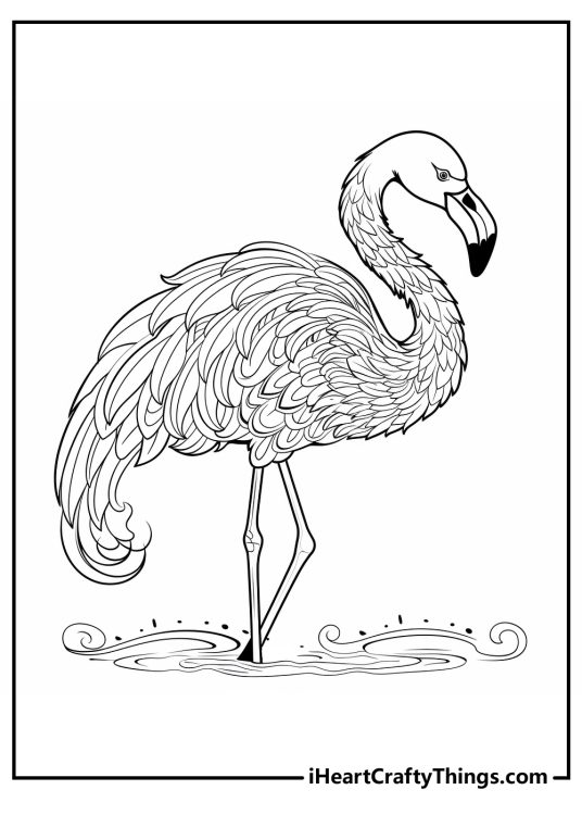 Coloring printable for aduls of a flamingo with body covered in flowing feathers shaped like petals