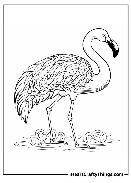 Detailed coloring pdf for adults of a flamingo with body fully covered with fluffy feathers standing on two feet