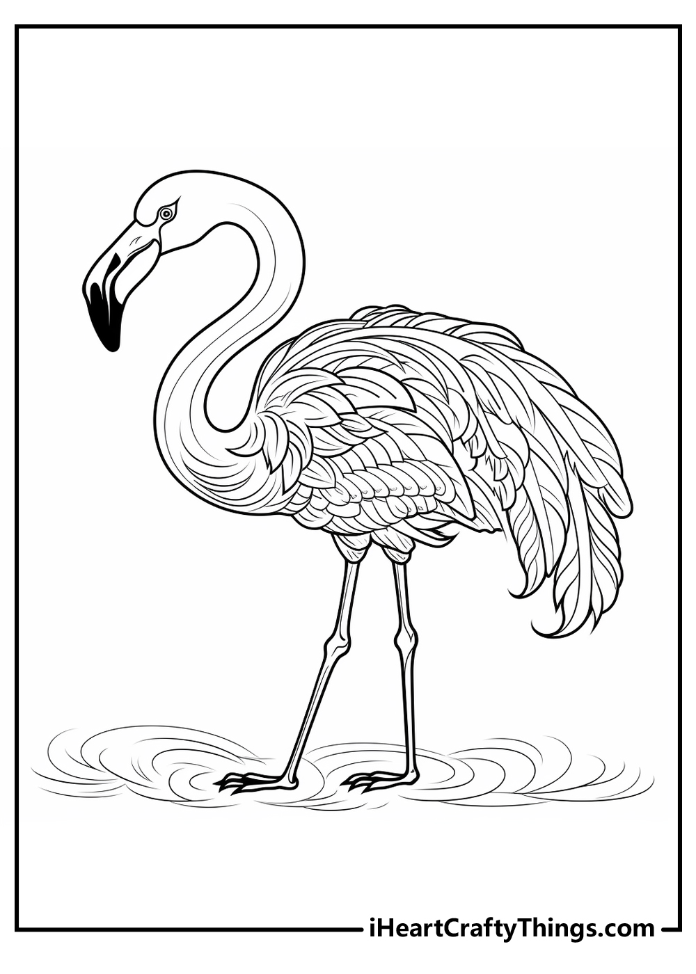 black-and-white flamingo sheets pdf download