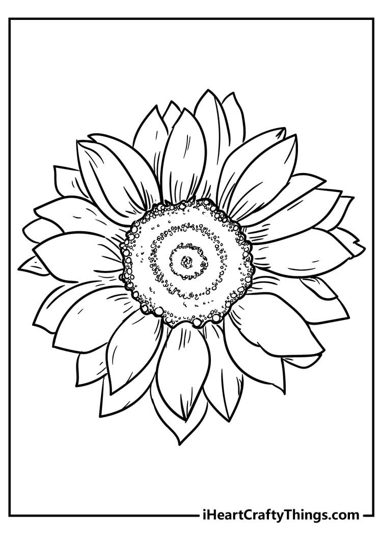 coloring pages of wild flowers