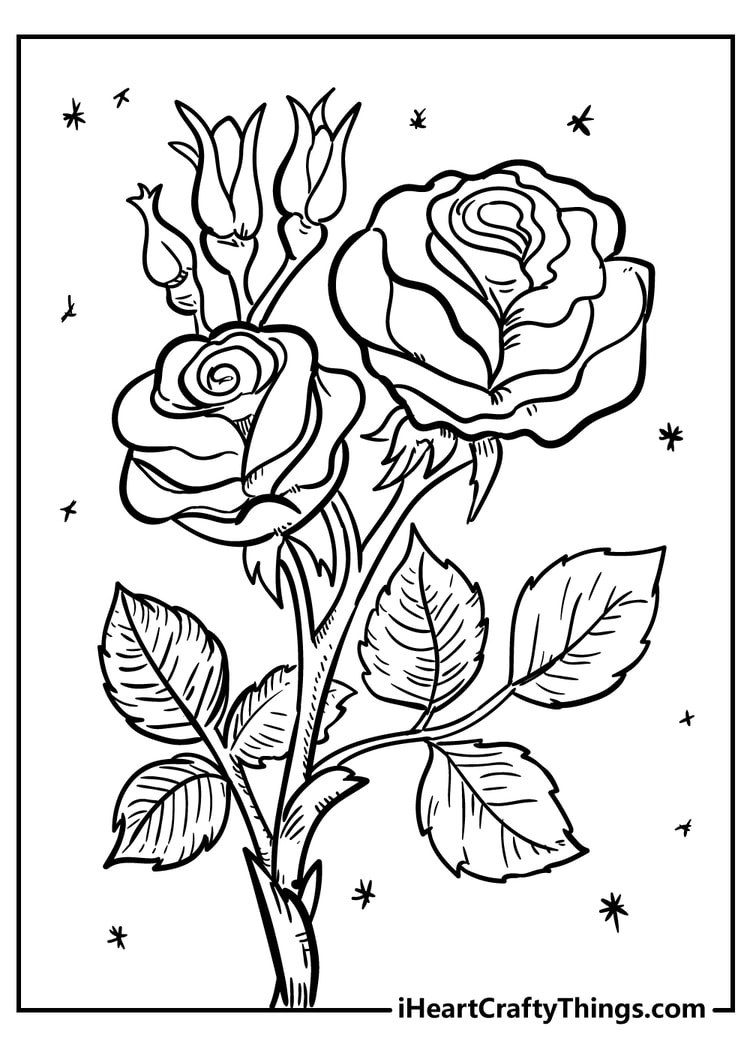 flower petals coloring pages