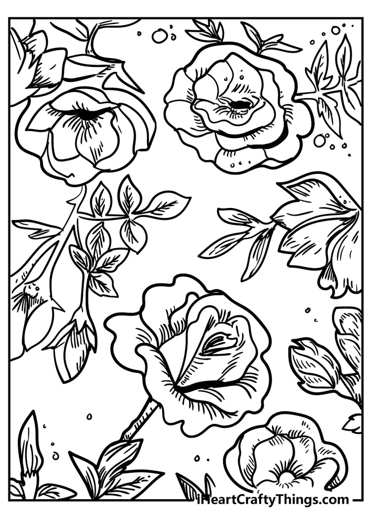 Beautiful Flowers Coloring Book: A Flower Adult Coloring Book