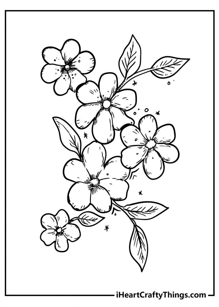 Flower Coloring Pages 100 Free Printables 