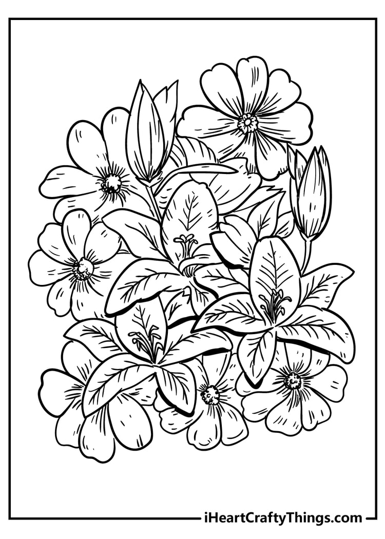 flower coloring pages free pdf download