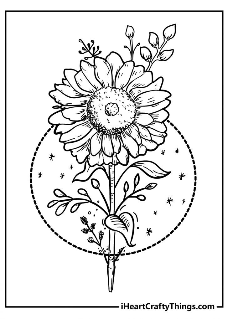52 Flower Coloring Pages (Easy Free Printable PDFs For Kids)