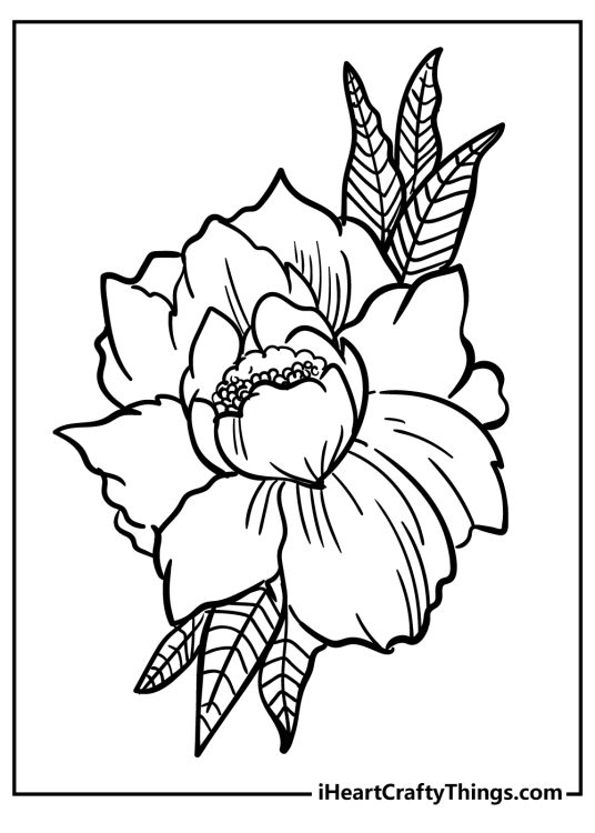 Detailed flower coloring page with a large peony and leaves