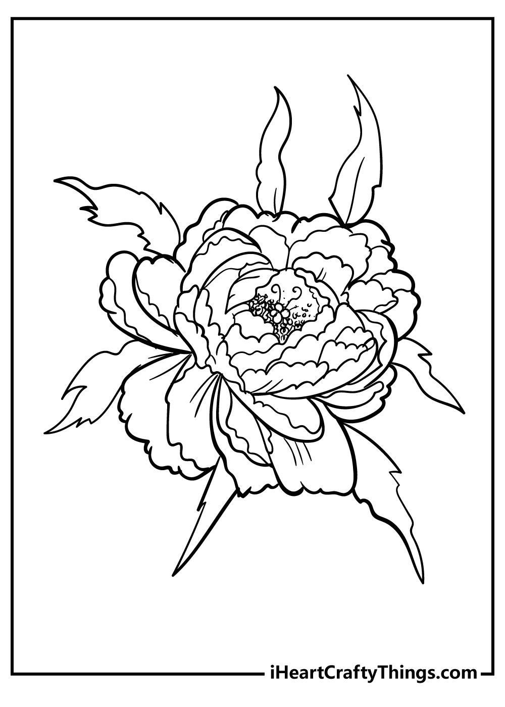 Single flower with large petals coloring page free download