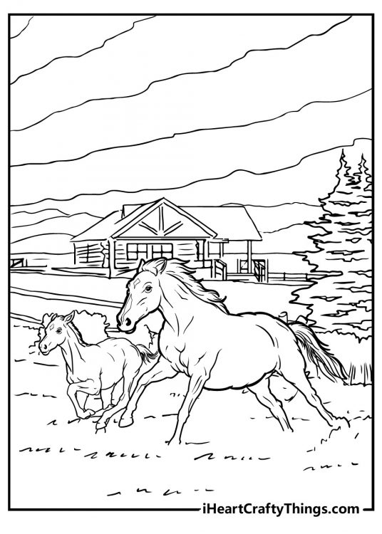 Coloring image depicting a parent and child horse running side by side in the countryside