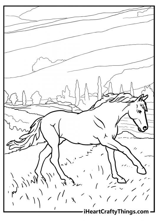Printable coloring sheet for pre-schoolers depicting adult horse walking on a meadow