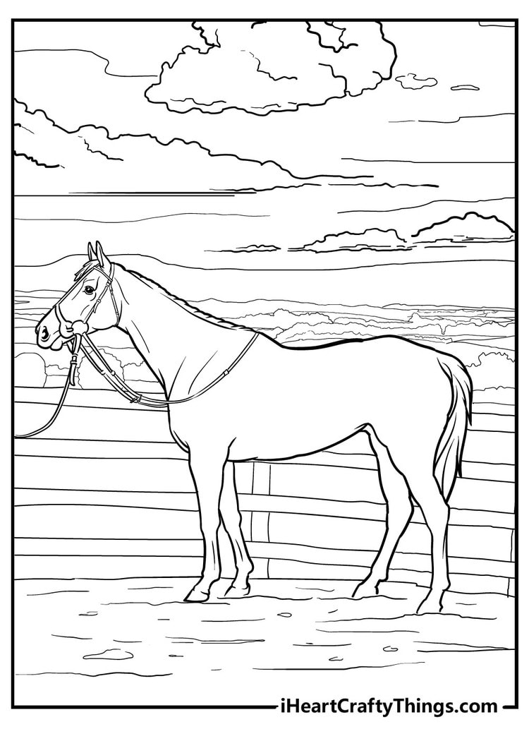 Unique Horse Easy Coloring Pages free printable