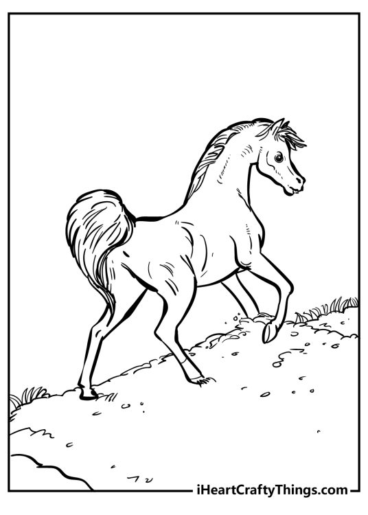 Detailed coloring picture for children capturing young graceful horse hiking up a hill