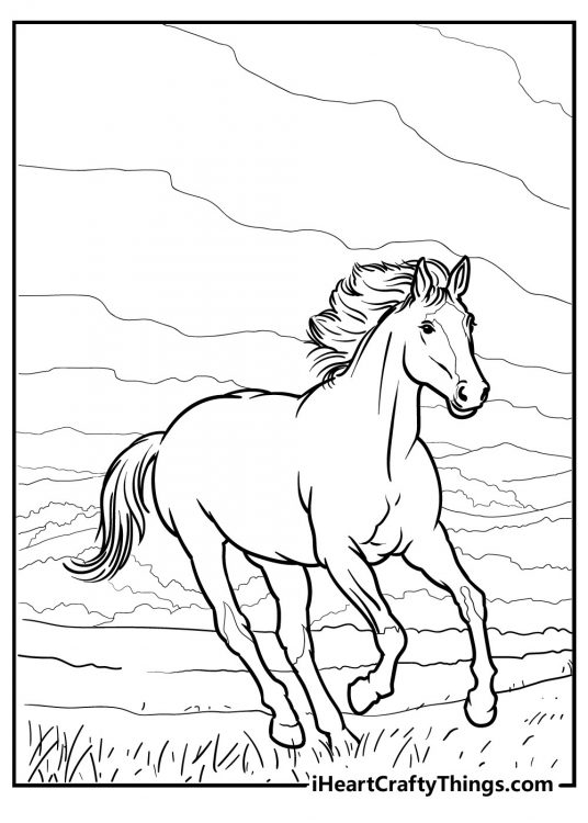 Detailed coloring drawing for kids of a beautiful realistic horse running in the fields