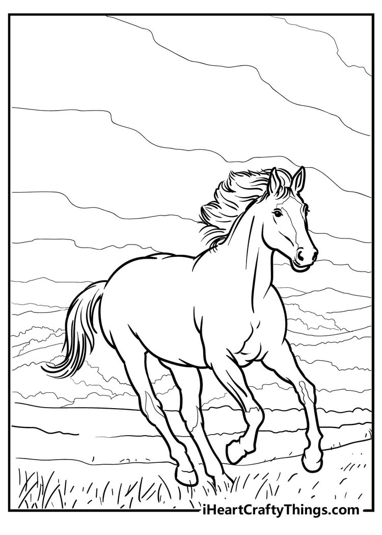 Horse adult coloring page