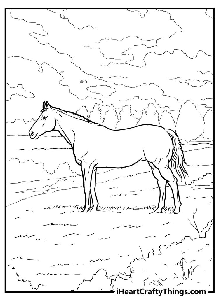 Realistic horse in the wild to color