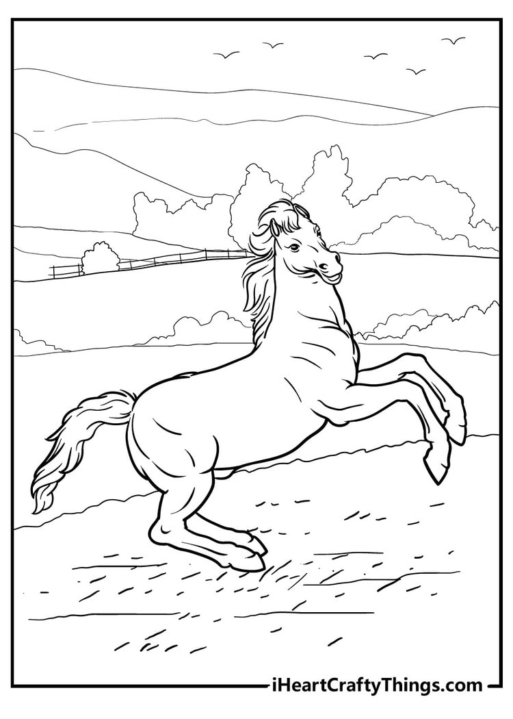 Unique Horse Coloring Pages free printable