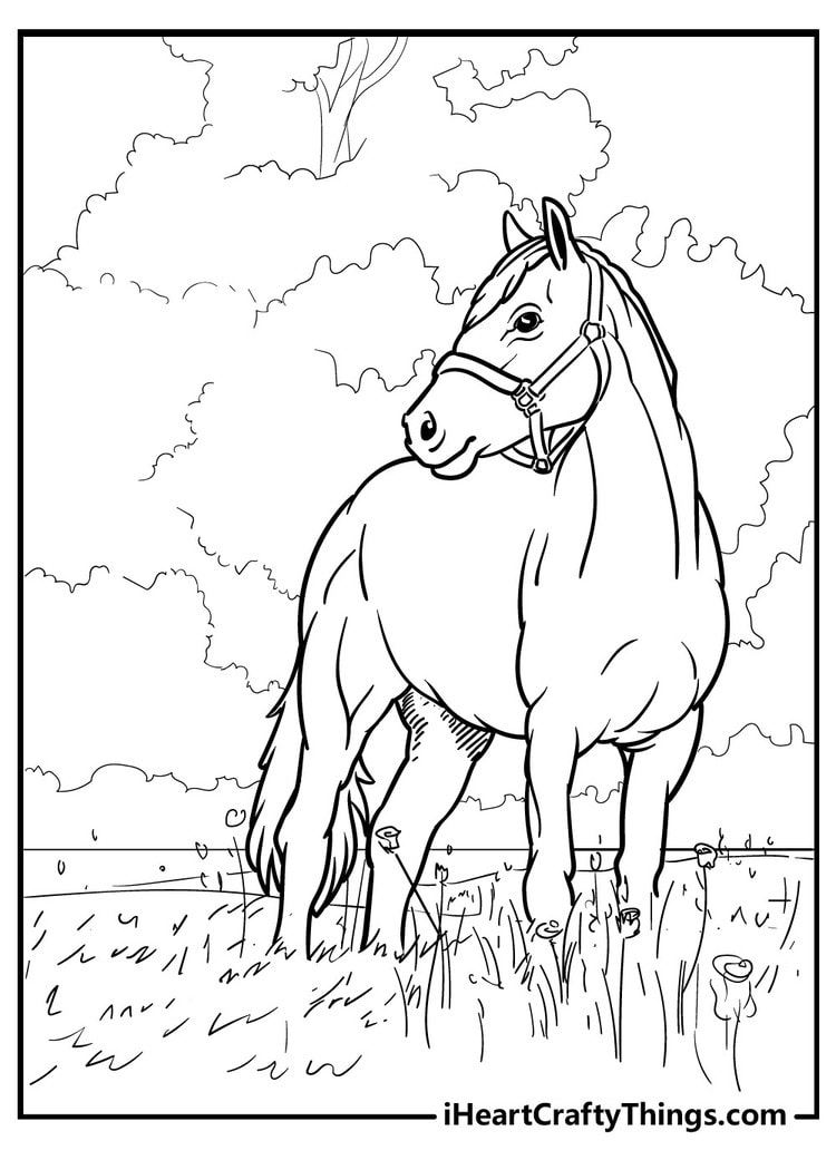 themed coloring print pages image horses