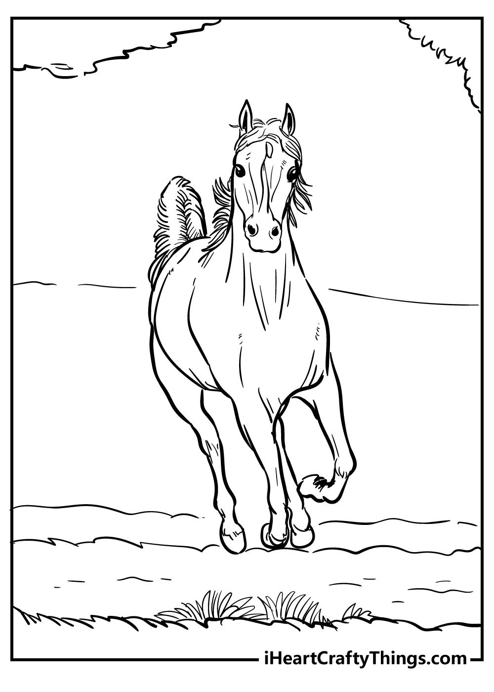 coloring book pages of horse