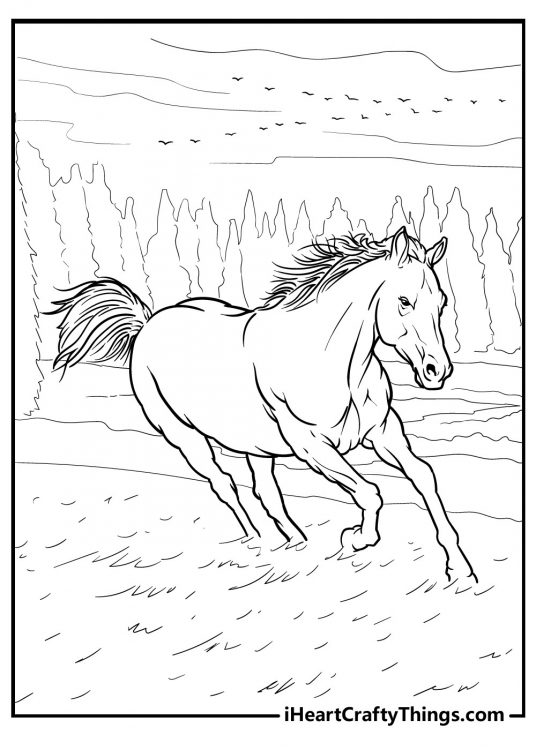 Horse-inspired coloring picture featuring realistic mustang running through the open fields