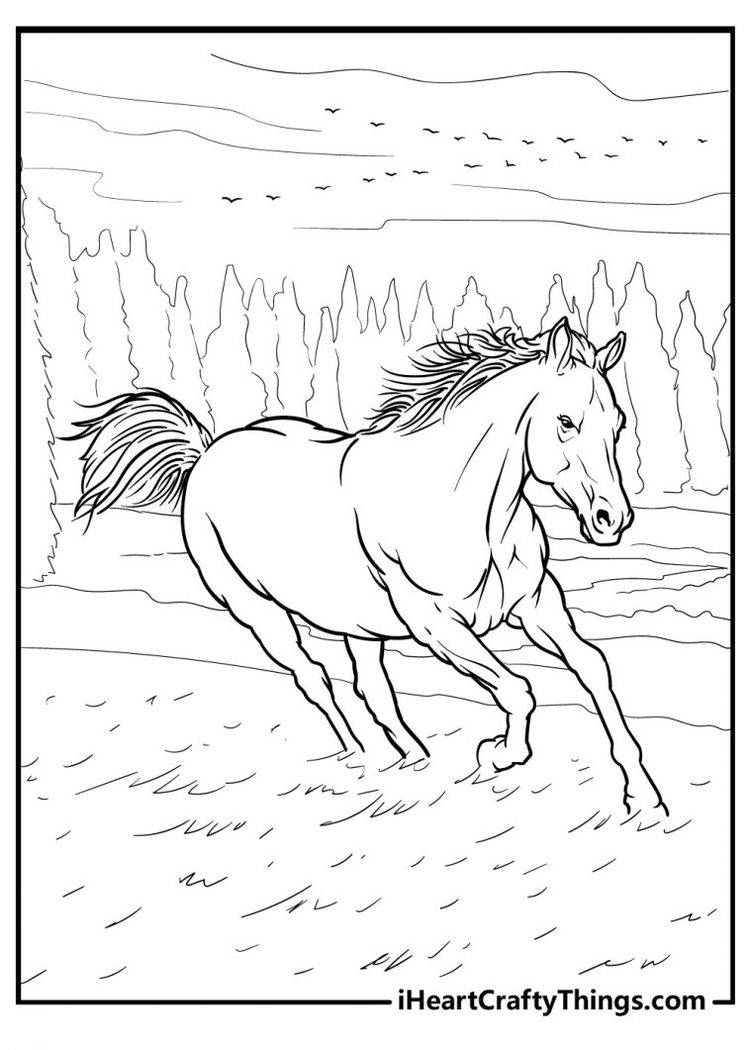 65 Horse Coloring Pages (100% Free Printables)