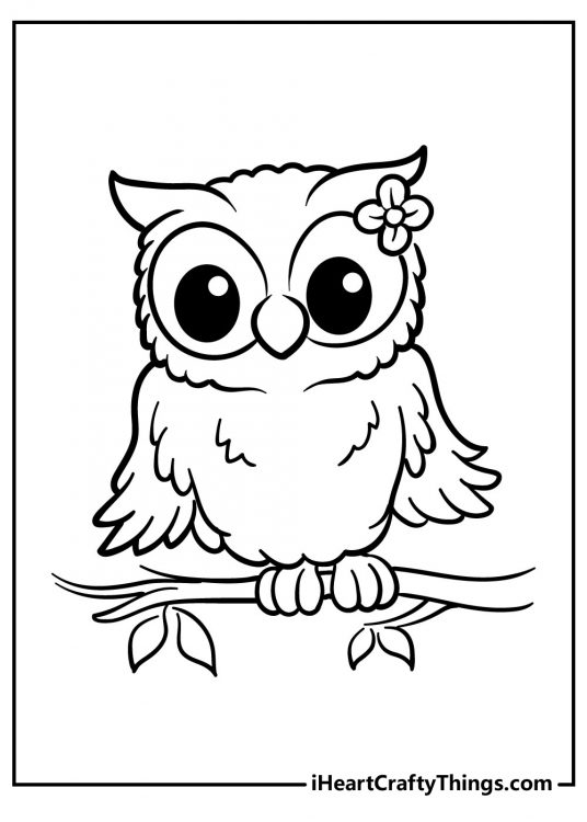Coloring picture of a pretty owl perched on a branch wearing a flower in her feathers