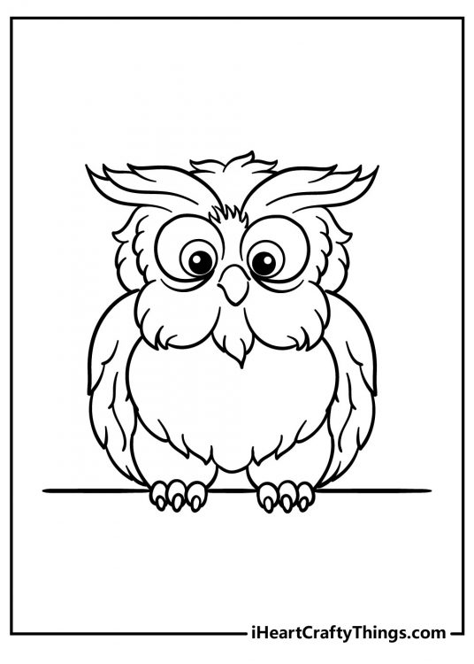 Coloring drawing for kids depicting very fluffy owl with feathery body and small beak