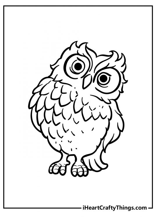 25 Wise Owl Coloring Pages